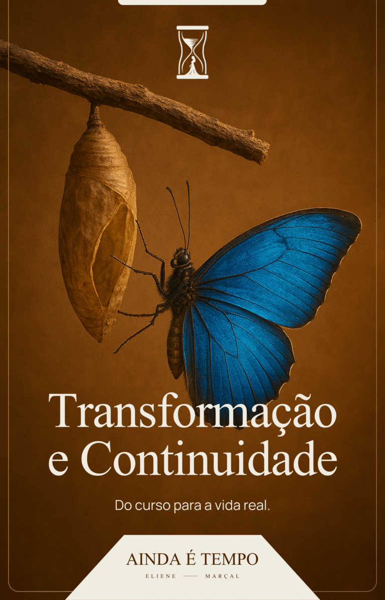 12. TRANSFORMAÇÃO E CONTINUIDADE
